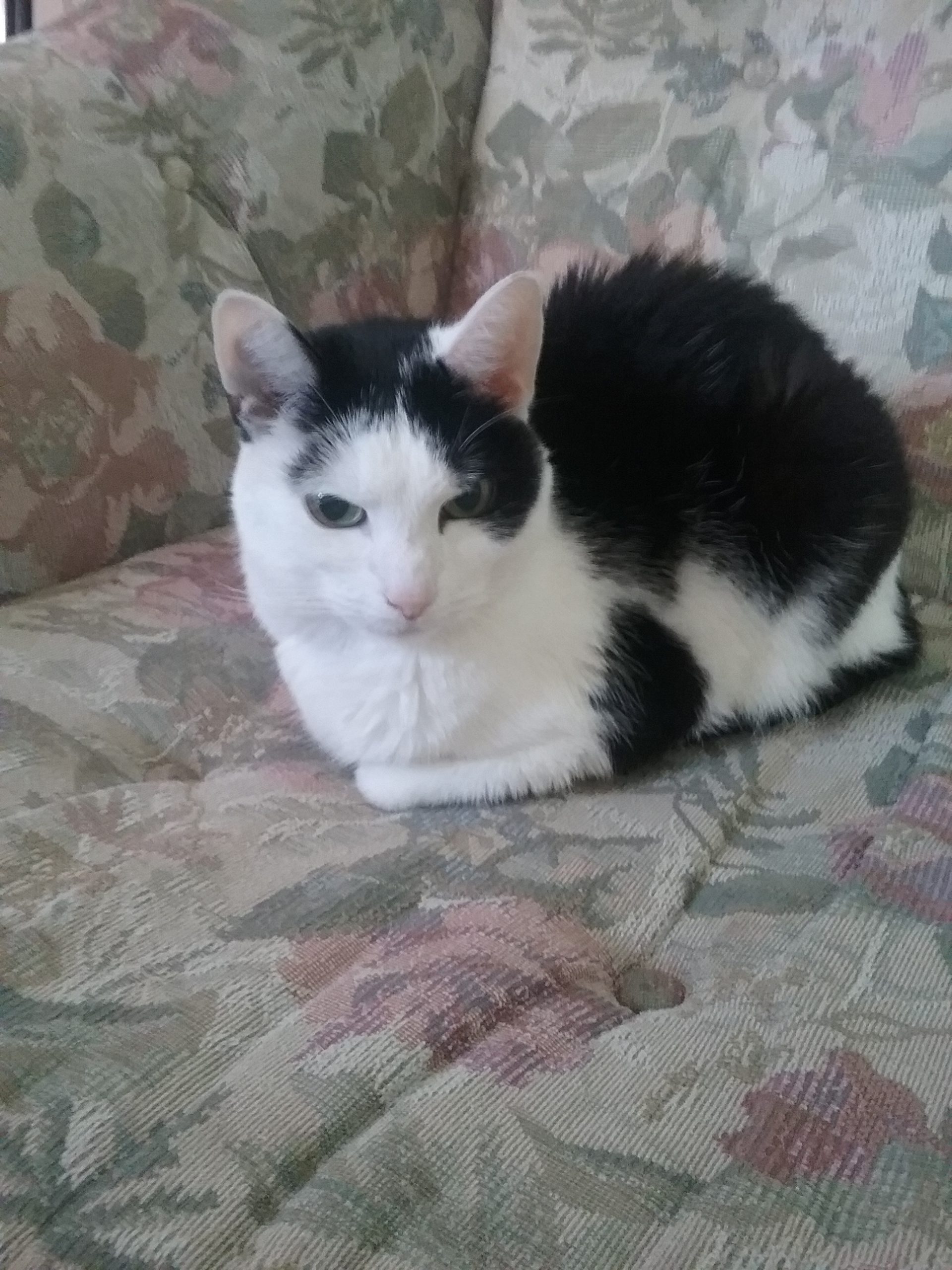 Grace House Grace House