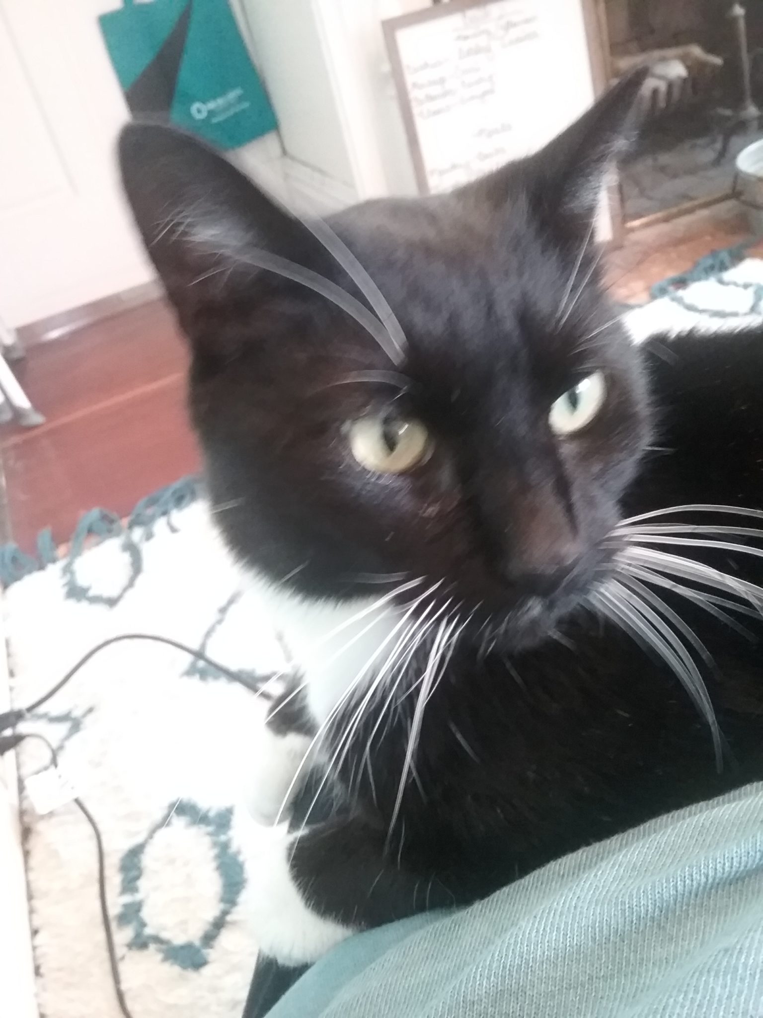 Grace House Grace House